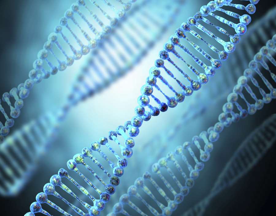 DNA Spiral, Human